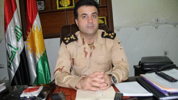 Irak Kürt Bölgesel Yönetimi Peşmerge Bakanlığı sözcüsü Helgurt Hikmet - Sputnik Türkiye