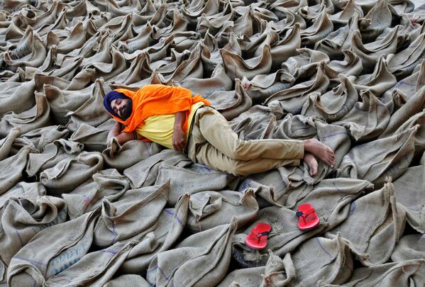 Hindistan | Çandigarh’daki toptan pazarda pirinç çuvalları üzerinde uzanan bir çiftçi. - Sputnik Türkiye