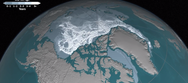 Kuzey Buz Denizi'ndeki buzulların erimesi - Sputnik Türkiye