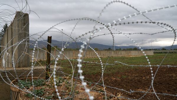 Türkiye-Suriye sınırına örülen dev beton duvar bitmek üzere - Sputnik Türkiye