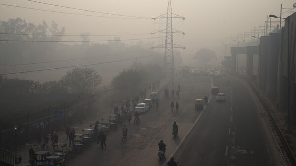 Yeni Delhi'de hava kirliliği - Sputnik Türkiye