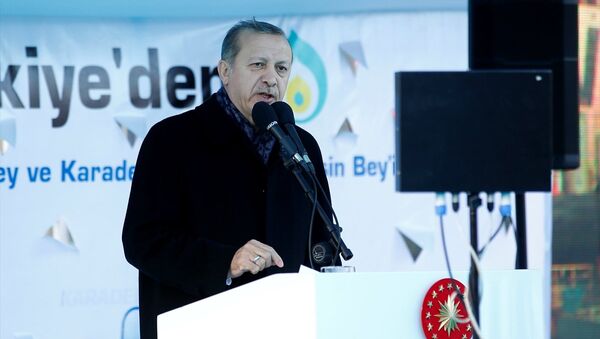 Cumhurbaşkanı Recep Tayyip Erdoğan, Tuzla'daki enerji üretebilen gemilerin uğurlandığı törende konuştu - Sputnik Türkiye