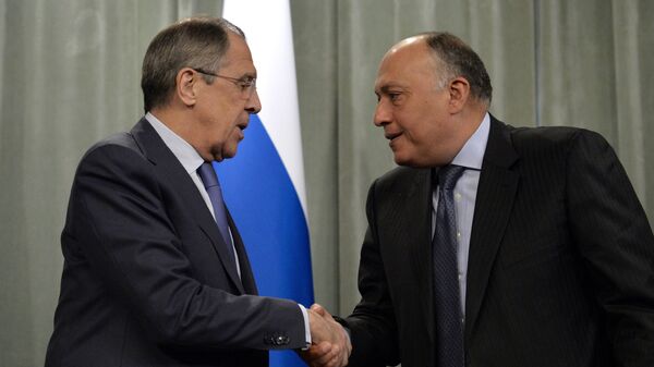 Rusya Dışişleri Bakanı Sergey Lavrov ve Mısırlı mevkidaşı Semih Şükri - Sputnik Türkiye