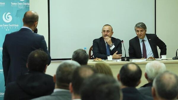 Dışişleri Bakanı Mevlüt Çavuşoğlu, Lübnan'ın başkenti Beyrut’ta - Sputnik Türkiye