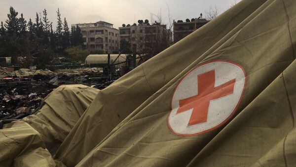 Suriye'nin Halep kentinde yer alan Rusya'ya ait askeri hastane - Sputnik Türkiye