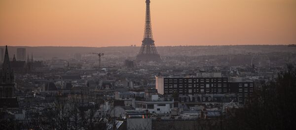Paris'te hava kirliliği - Sputnik Türkiye