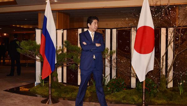 Japonya Başbakanı Şinzo Abe- Rusya- Bayrak - Sputnik Türkiye