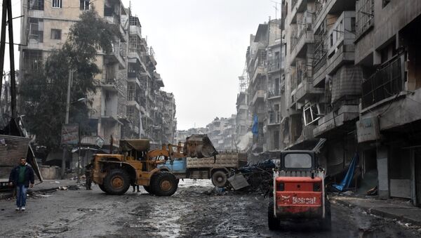 Halep- Suriye - Sputnik Türkiye
