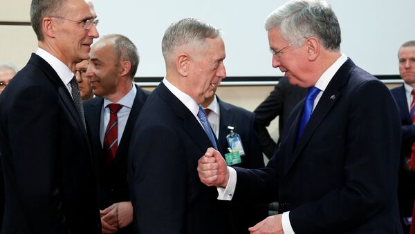 ABD Savunma Bakanı James Mattis, Münih Güvenlik Konferansı'nda - Sputnik Türkiye