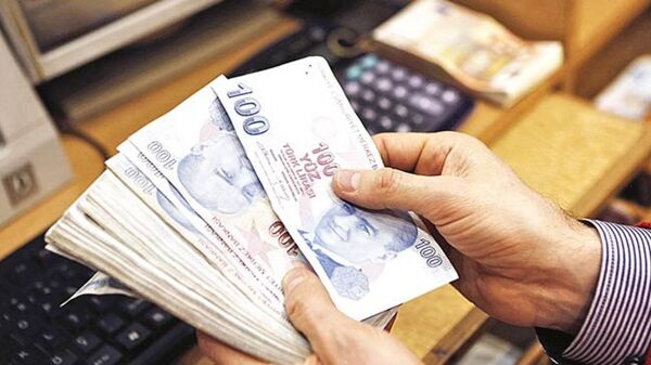 Türk Lirası banknot - Sputnik Türkiye