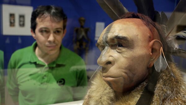 İspanya'daki bir müzede bulunan ve gerçeğine uygun hazırlanan Neandertal modelini inceleyen bir ziyaretçi - Sputnik Türkiye