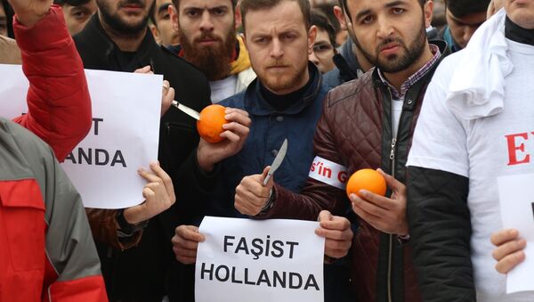 Ak Partili gençler Hollanda'yı portakal bıçaklayarak protesto etti - Sputnik Türkiye