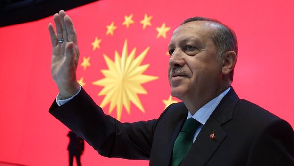 Recep Tayyip Erdoğan / Cumhurbaşkanlığı forsu - Sputnik Türkiye
