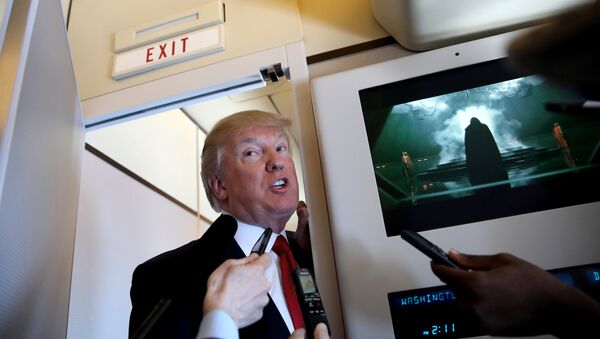 Trump, Şi'yle görüşeceği Palm Beach'e giderken Air Force One'daki gazetecilere açıklama yaptı - Sputnik Türkiye