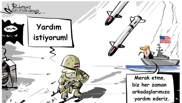 'ABD'nin Suriye'yi vurması 'de-facto olarak' teröristlerin çıkarlarına hizmet ediyor' - Sputnik Türkiye