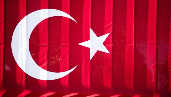 Türk bayrağı / Türkiye'nin Berlin Büyükelçiliği - Sputnik Türkiye