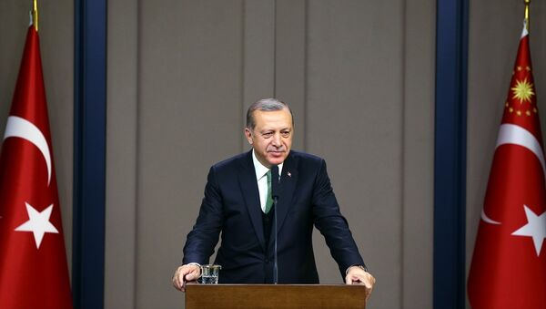 Cumhurbaşkanı Recep Tayyip Erdoğan, Rusya'nın Soçi kentine hareketinden önce Esenboğa Havalimanı'nda basın toplantısı düzenledi. - Sputnik Türkiye