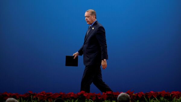 Recep Tayyip Erdoğan / Çin - G20 Liderler Zirvesi - Sputnik Türkiye