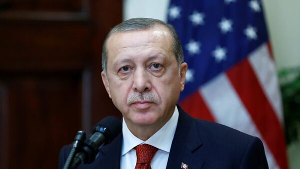 Cumhurbaşkanı Recep Tayyip Erdoğan - ABD - Sputnik Türkiye