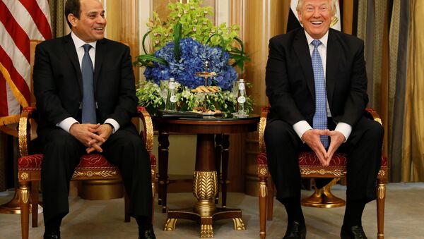 ABD Başkanı Donald Trump - Mısır Cumhurbaşkanı Abdülfettah Sisi - Sputnik Türkiye