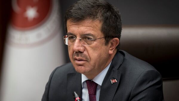 Ekonomi Bakanı Nihat Zeybekci - Sputnik Türkiye