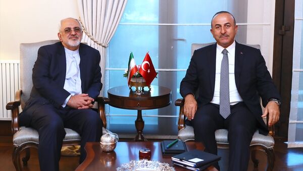 İran Dışişleri Bakanı Cevad Zarif ile Dışişleri Bakanı Mevlüt Çavuşoğlu - Sputnik Türkiye