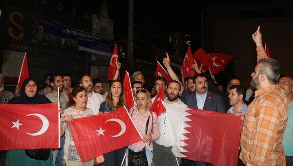 Beyoğlu'nda Katar'a destek eylemi - Sputnik Türkiye