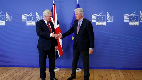AB Komisyonu'nun Başmüzakerecisi Michael Barnier- İngiltere'nin Brexit Bakanı David Davis - Sputnik Türkiye