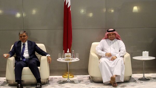11. Cumhurbaşkanı Abdullah Gül Doha'da - Sputnik Türkiye