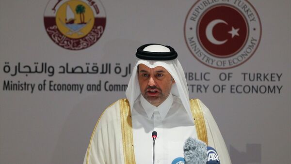 Katar Ticaret ve Ekonomi Bakanı Ahmed bin Casim el Sani - Sputnik Türkiye
