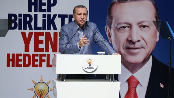 Cumhurbaşkanı Recep Tayyip Erdoğan / AK Parti - Sputnik Türkiye
