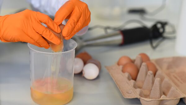 Avrupa'da fipronil adlı böcek ilaçlı yumurta krizi - Sputnik Türkiye