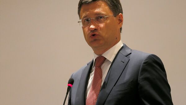 Rusya Enerji Bakanı Aleksandr Novak  - Sputnik Türkiye