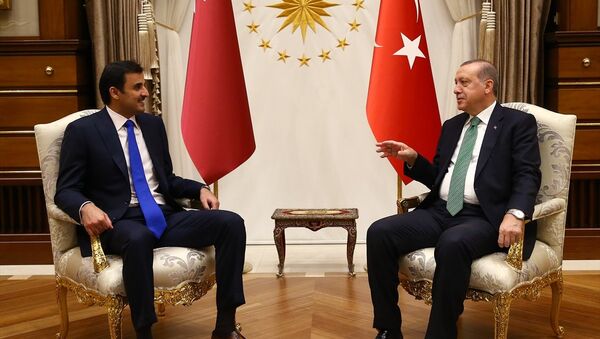 Cumhurbaşkanı Recep Tayyip Erdoğan ile Katar Emiri Şeyh Temim bin Hamed El Sani - Sputnik Türkiye