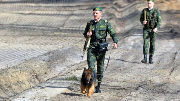 Ukrayna- sınır güvenlik birimleri-köpek - Sputnik Türkiye
