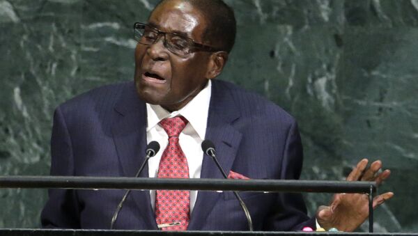 Zimbabwe Devlet Başkanı Robert Mugabe - Sputnik Türkiye