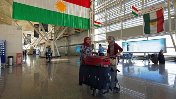 Erbil Uluslararası Havalimanı - Sputnik Türkiye