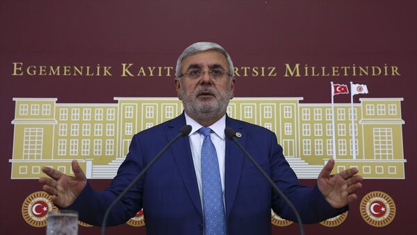 AK Parti İstanbul Milletvekili Mehmet Metiner - Sputnik Türkiye