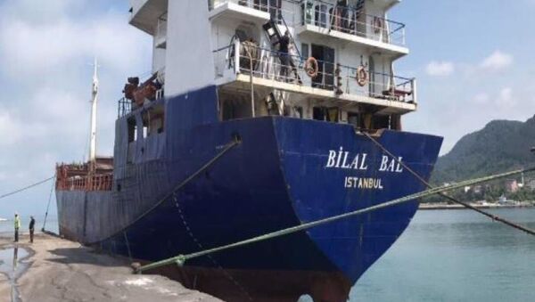 Şile açıklarında kargo gemisi kayboldu - Sputnik Türkiye