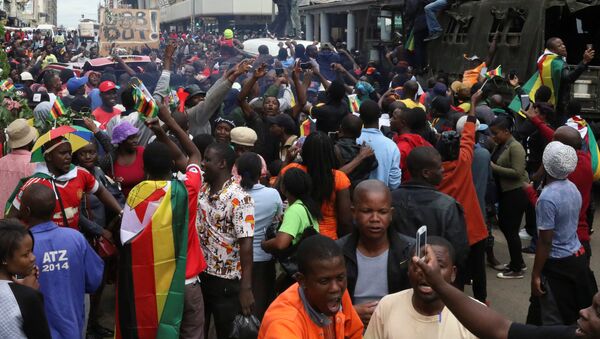 Zimbabve'de protestolar - Sputnik Türkiye