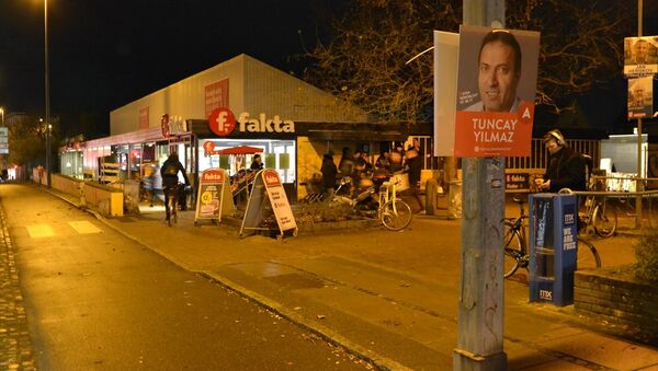 Danimarka yerel seçimlerinde 40 Türkiye kökenli aday seçildi - Sputnik Türkiye