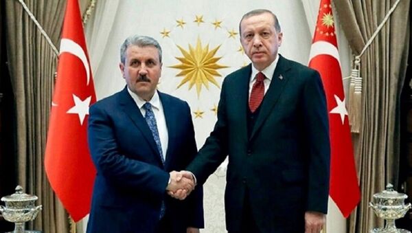 Destici - Erdoğan - Sputnik Türkiye