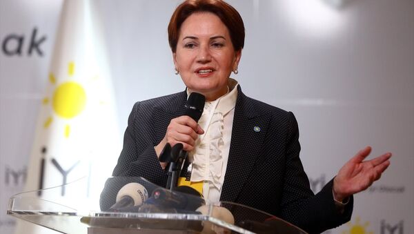 İYİ Parti Kurucu Genel Başkanı Meral Akşener - Sputnik Türkiye