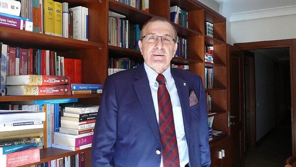 Prof. Adem Sözüer - Sputnik Türkiye