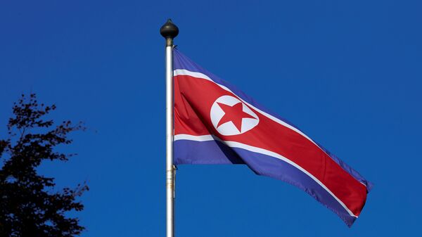Kuzey Kore bayrağı - Sputnik Türkiye