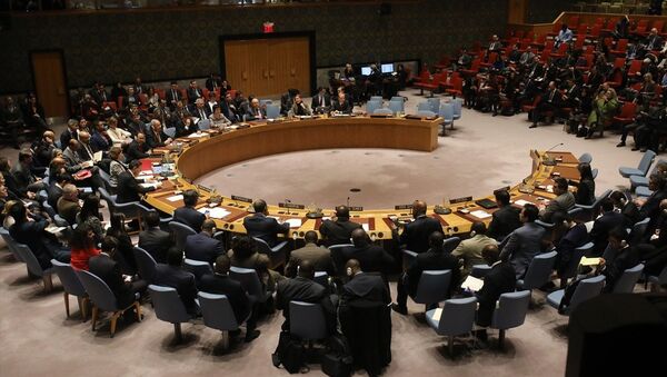 Birleşmiş Milletler Güvenlik Konseyi (BMGK), İran'daki protestolarla ilgili ABD'nin talebiyle toplandı - Sputnik Türkiye