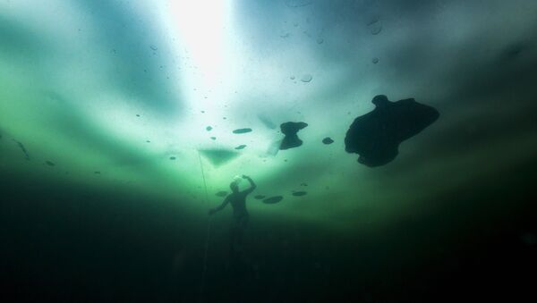 Donmuş göl-Finlandiya - Sputnik Türkiye