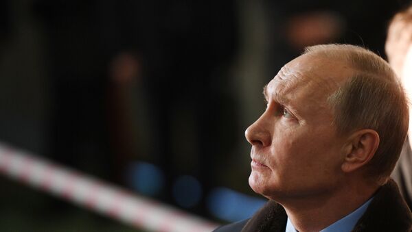 Rusya Devlet Başkanı Vladimir Putin - Sputnik Türkiye