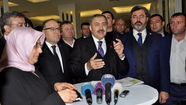 Orman ve Su İşleri Bakanı Veysel Eroğlu, bir otelde gerçekleştirilen '2017 Yılı Afyonkarahisar Yatırımlarını Değerlendirme Toplantısı'na katılmak üzere geldiği kentte, gazetecilerin sorularını cevapladı. - Sputnik Türkiye