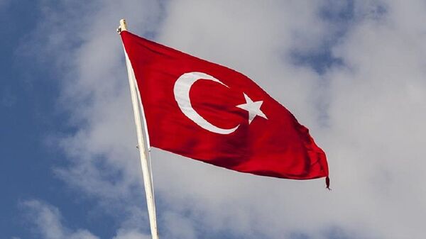 Türk bayrağı - Sputnik Türkiye
